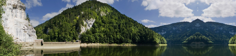 home header