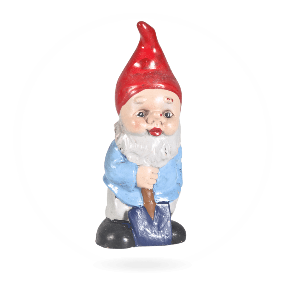 Dwarf
